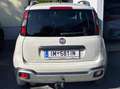 Fiat Panda Panda 4x4 1,3 Multijet II 80 4x4 Cross Cross Braun - thumbnail 3