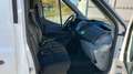 Ford Transit Kombi 350 L3 Trend BTW AMF Hubmatiklift Weiß - thumbnail 14
