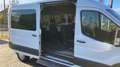 Ford Transit Kombi 350 L3 Trend BTW AMF Hubmatiklift Weiß - thumbnail 11