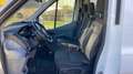 Ford Transit Kombi 350 L3 Trend BTW AMF Hubmatiklift Weiß - thumbnail 15
