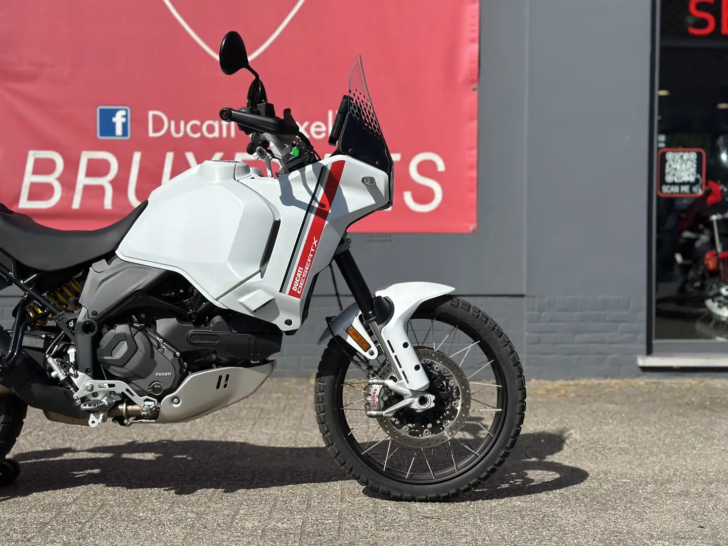 Ducati DesertX | "TVA Déductible" Weiß - 1