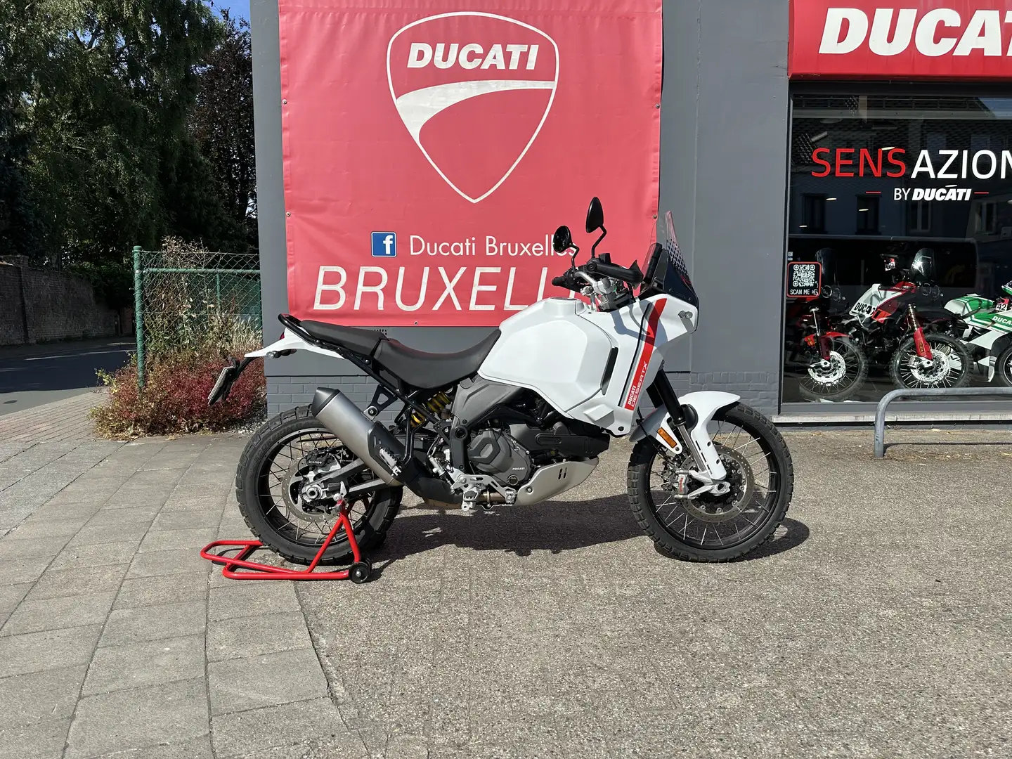 Ducati DesertX | "TVA Déductible" Wit - 1