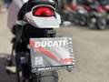 Ducati DesertX | "TVA Déductible" Wit - thumbnail 14