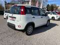 Fiat Panda 1.0 GSE 51kW Mild-Hybrid *City Paket* Blanc - thumbnail 3