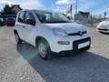 Fiat Panda 1.0 GSE 51kW Mild-Hybrid *City Paket* Blanc - thumbnail 2