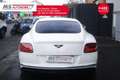 Bentley Continental GT Continental GT V8 S PROMOZIONE Unicoproprietario Bianco - thumbnail 8