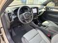 Volvo XC40 Core B3 B StandHZG 360 Kamera LED Notrad Digitales Beige - thumbnail 11