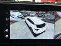 Kia Sportage 1.6 CRDi MHEV Tech DCT 136 Rojo - thumbnail 35