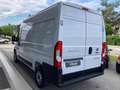 Fiat Ducato 33 2.2 Mjt 140CV PLM-TM Furgone Bianco - thumbnail 5