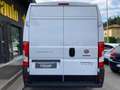 Fiat Ducato 33 2.2 Mjt 140CV PLM-TM Furgone Bianco - thumbnail 4