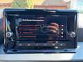 SEAT Ibiza FR Edition 1.0 TSI 95PS Grau - thumbnail 18