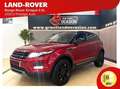 Land Rover Range Rover Evoque 2.2L TD4 Prestige 4x4 Paars - thumbnail 1