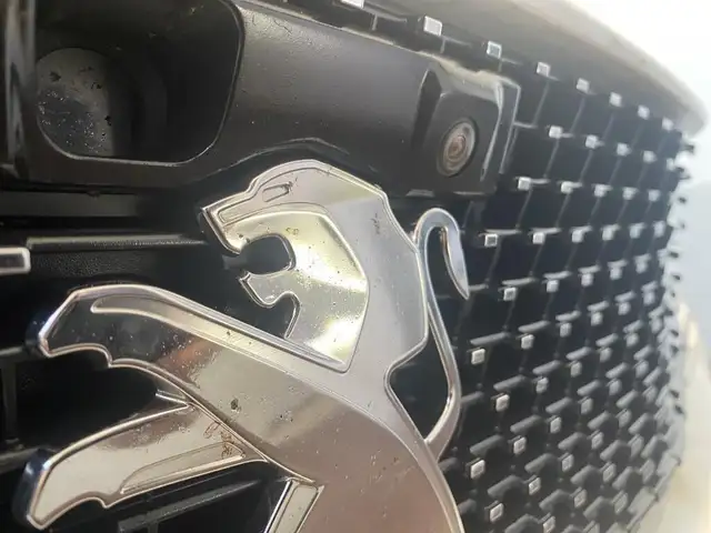 Peugeot 3008 view 14
