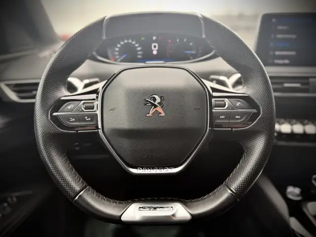 Peugeot 3008 view 14