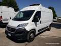 Fiat Ducato MH2 FRIGO FNAX GARANZIA [FR49] Blanc - thumbnail 1