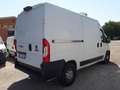 Fiat Ducato MH2 FRIGO FNAX GARANZIA [FR49] Blanc - thumbnail 3