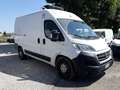 Fiat Ducato MH2 FRIGO FNAX GARANZIA [FR49] Blanc - thumbnail 2