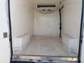 Fiat Ducato MH2 FRIGO FNAX GARANZIA [FR49] Blanc - thumbnail 5
