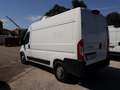 Fiat Ducato MH2 FRIGO FNAX GARANZIA [FR49] Blanc - thumbnail 4