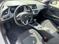 BMW 118 i Advantage LED NAVI LHZ APPLECARPLAY LCPROF LED/P Weiß - thumbnail 14