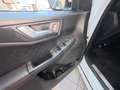 Ford Kuga Kuga III 2020 1.5 ecoblue ST-Line 2wd 120cv Wit - thumbnail 14