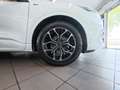 Ford Kuga Kuga III 2020 1.5 ecoblue ST-Line 2wd 120cv Wit - thumbnail 11