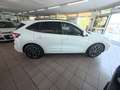 Ford Kuga Kuga III 2020 1.5 ecoblue ST-Line 2wd 120cv Wit - thumbnail 4