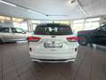 Ford Kuga Kuga III 2020 1.5 ecoblue ST-Line 2wd 120cv Wit - thumbnail 6
