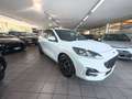 Ford Kuga Kuga III 2020 1.5 ecoblue ST-Line 2wd 120cv Wit - thumbnail 3