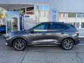 Ford Kuga Plug-In Hybrid ST-Line X Gris - thumbnail 5