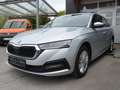 Skoda Octavia Ambition 4x4 2,0TDI DSG "Allrad-Schlechtwegepaket" Grau - thumbnail 13