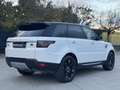Land Rover Range Rover Sport Range Rover Sport 3.0 TDV6 HSE*TETTO*TELECAMERA P Bianco - thumbnail 8