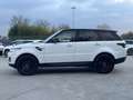 Land Rover Range Rover Sport Range Rover Sport 3.0 TDV6 HSE*TETTO*TELECAMERA P Bianco - thumbnail 6