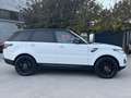 Land Rover Range Rover Sport Range Rover Sport 3.0 TDV6 HSE*TETTO*TELECAMERA P Bianco - thumbnail 4