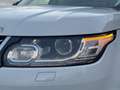Land Rover Range Rover Sport Range Rover Sport 3.0 TDV6 HSE*TETTO*TELECAMERA P Bianco - thumbnail 9