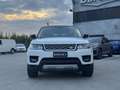 Land Rover Range Rover Sport Range Rover Sport 3.0 TDV6 HSE*TETTO*TELECAMERA P Bianco - thumbnail 3