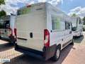 Forster V 541 youngster "Sunny" 140 PS * 3,5 t * Dieselh Bianco - thumbnail 4