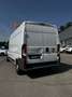 Fiat Ducato 2.3 MULTIJET 16V 130BHP MAXI 35 LH2 6-SP 4P Weiß - thumbnail 3