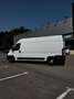 Fiat Ducato 2.3 MULTIJET 16V 130BHP MAXI 35 LH2 6-SP 4P Weiß - thumbnail 4