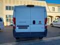 Fiat Ducato 35 3.0 Natural Power L2H1 IVA ESCLUSA Bianco - thumbnail 4