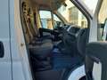 Fiat Ducato 35 3.0 Natural Power L2H1 IVA ESCLUSA Bianco - thumbnail 10