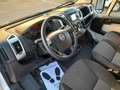 Fiat Ducato 35 3.0 Natural Power L2H1 IVA ESCLUSA Bianco - thumbnail 7