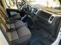Fiat Ducato 35 3.0 Natural Power L2H1 IVA ESCLUSA Bianco - thumbnail 9
