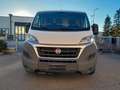 Fiat Ducato 35 3.0 Natural Power L2H1 IVA ESCLUSA Bianco - thumbnail 5