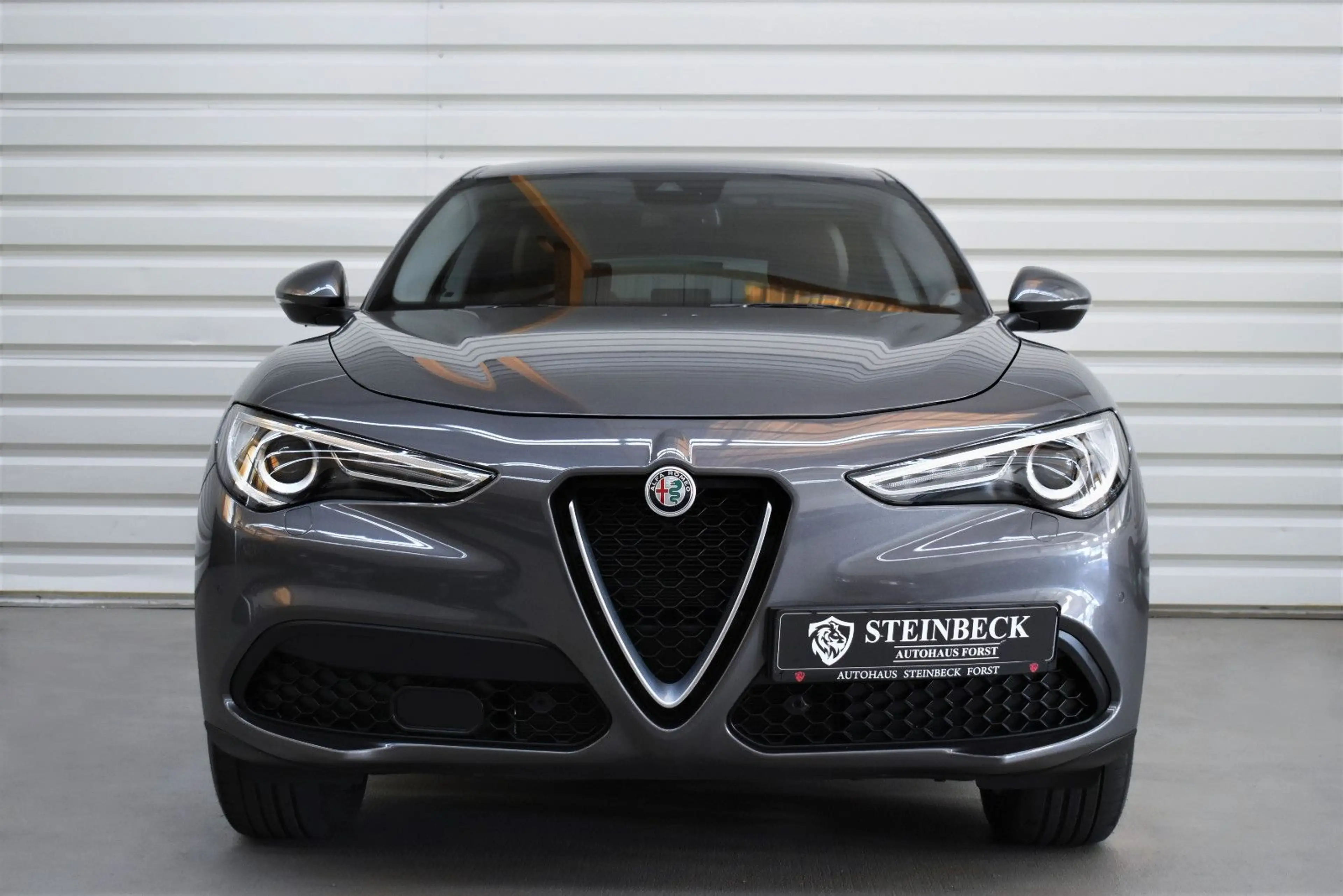 Alfa Romeo Stelvio Super Q4+Totwinkel+Keyless+Kamera+Xenon — photo 5