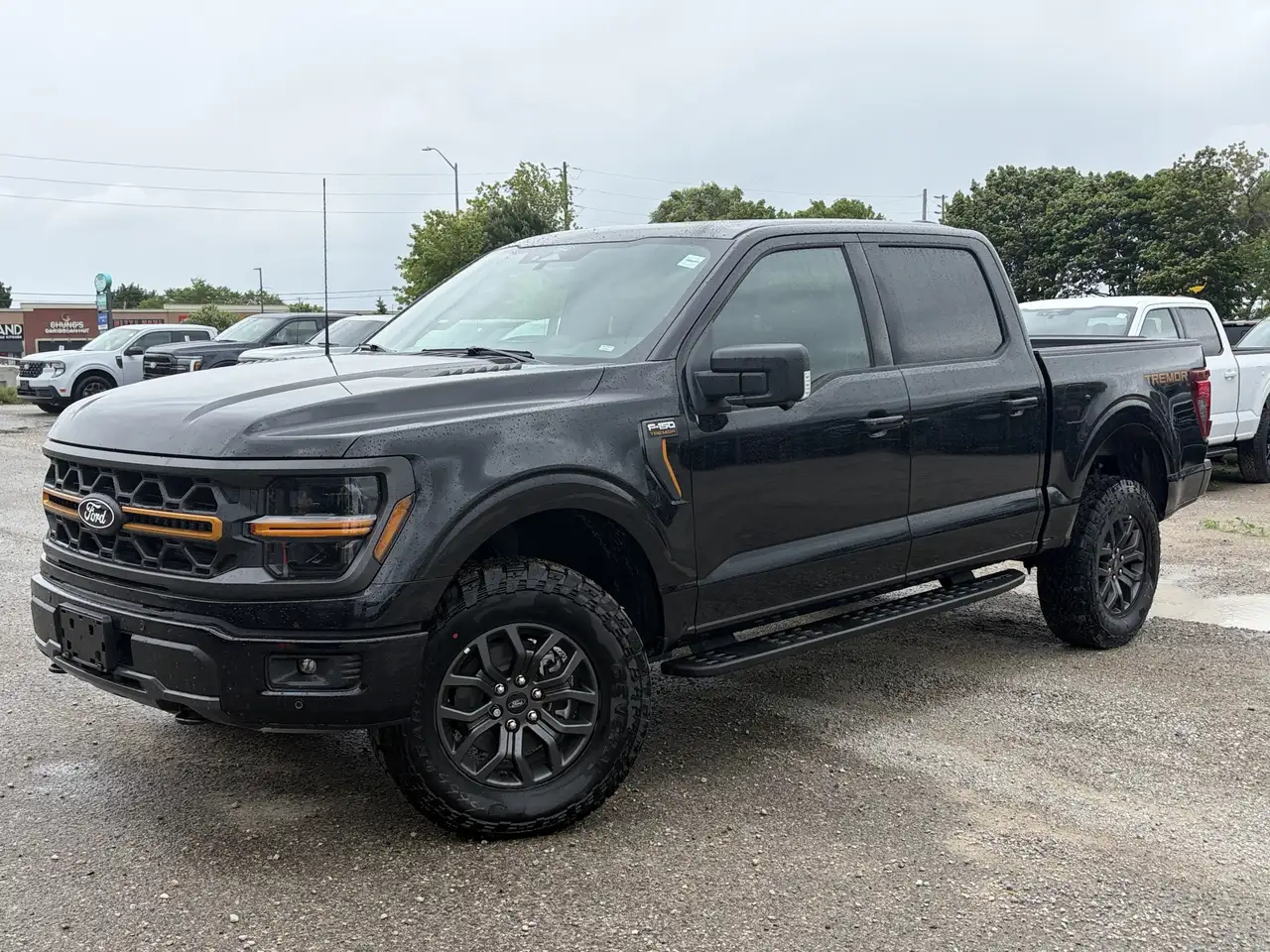 Ford F 150 photo Ford F 150