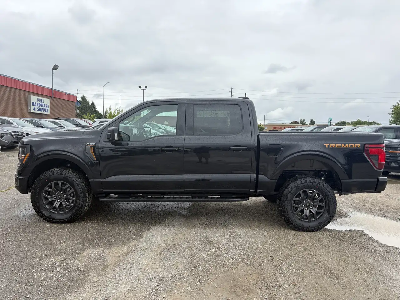 Ford F 150 photo Ford F 150