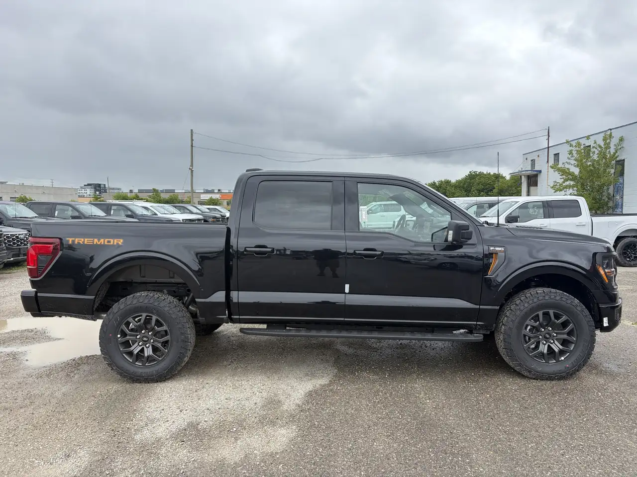 Ford F 150 photo Ford F 150