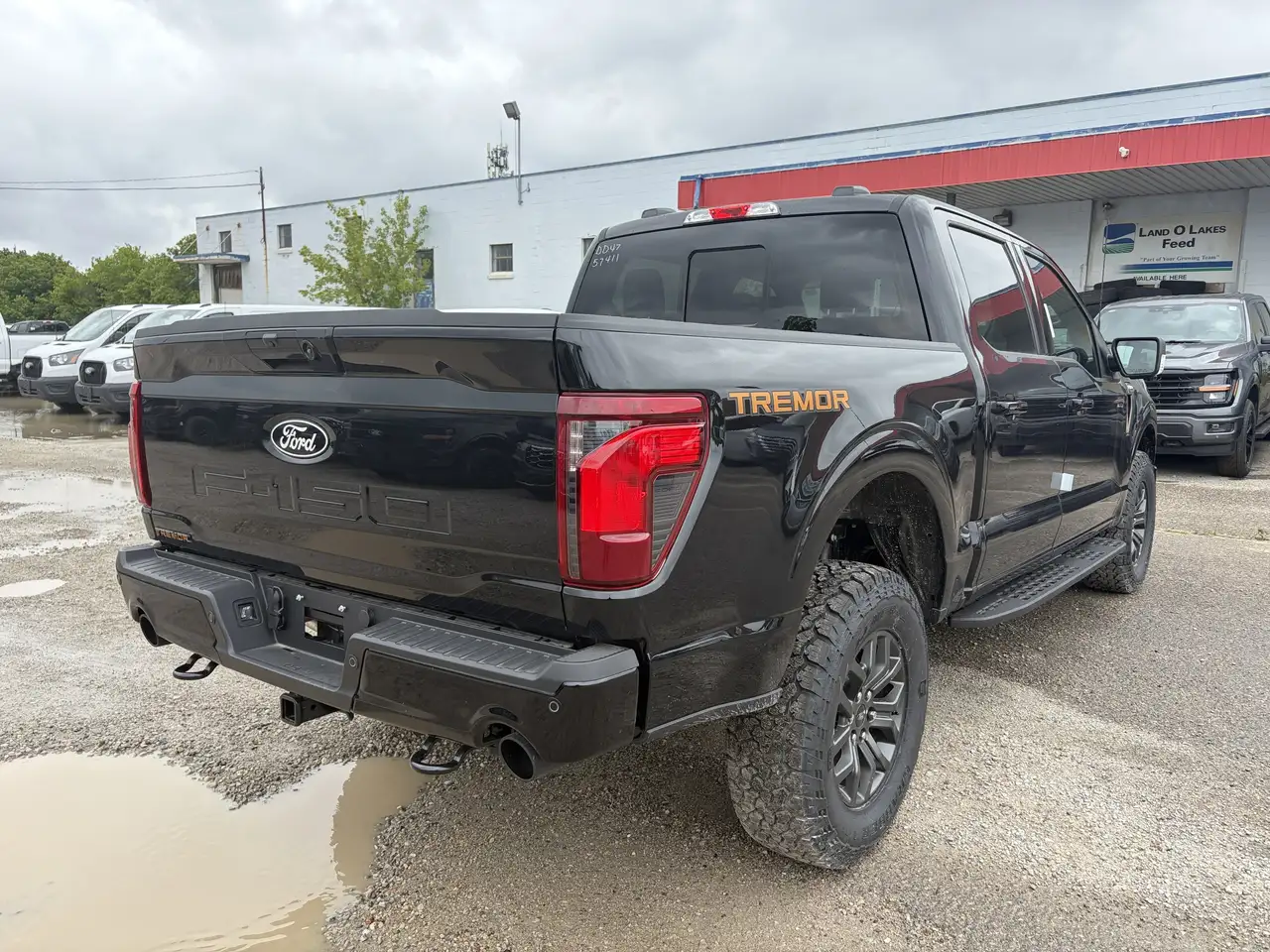 Ford F 150 photo Ford F 150