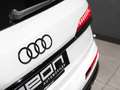 Audi SQ7 TDI quattro tiptronic Blanc - thumbnail 17